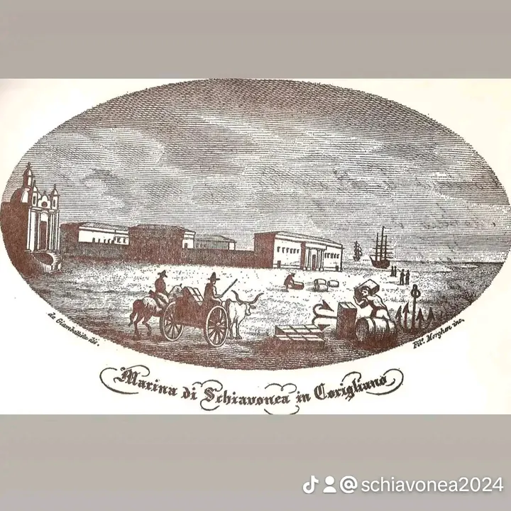 schiavonea2024