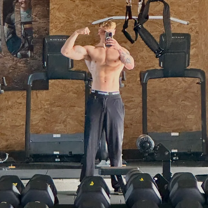 @tibolone