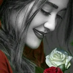 @sy_m284