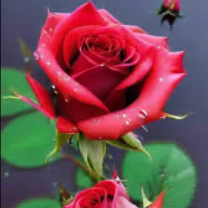@ullu_09