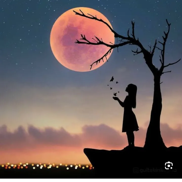 moon.light476
