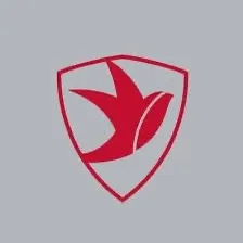 @cheltenham_town_wo