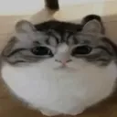 @aimericus
