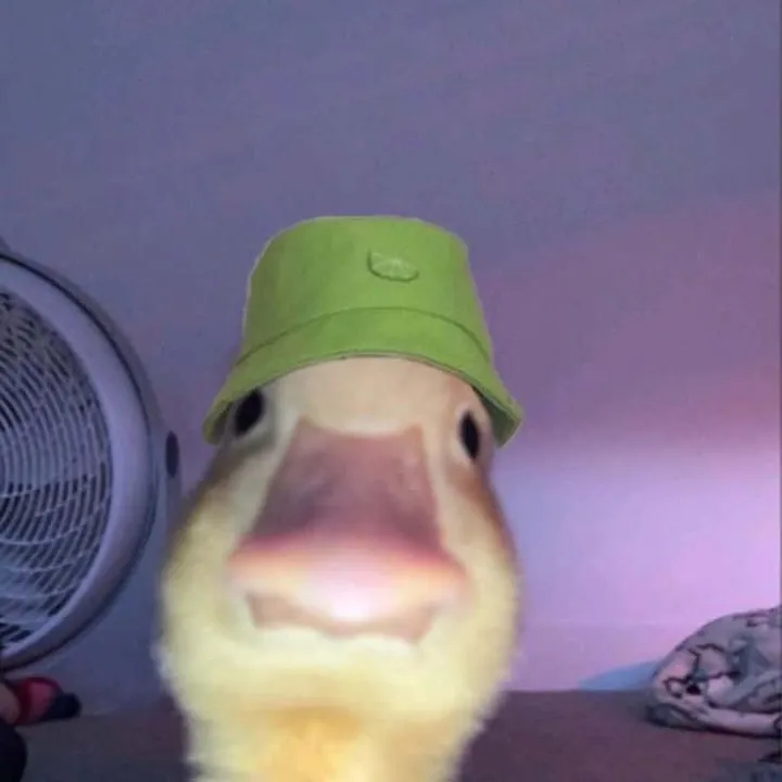 @_k1memes