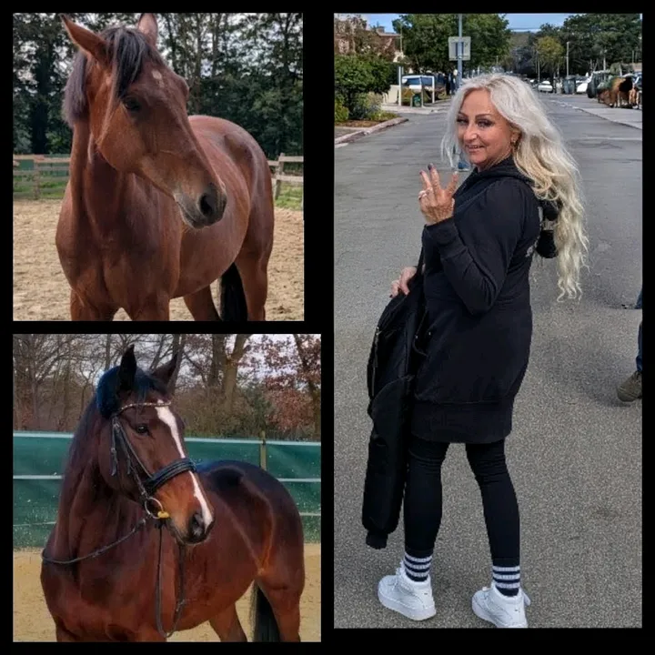 @cocosunnyhorses