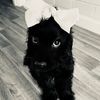 beautiful.girl4834