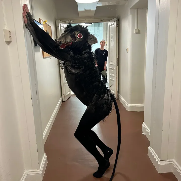 @mr_rat_official_