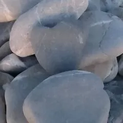 @gina.mautone