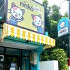 neko_ngawi
