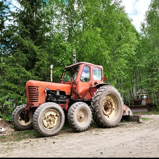 forestandwheels