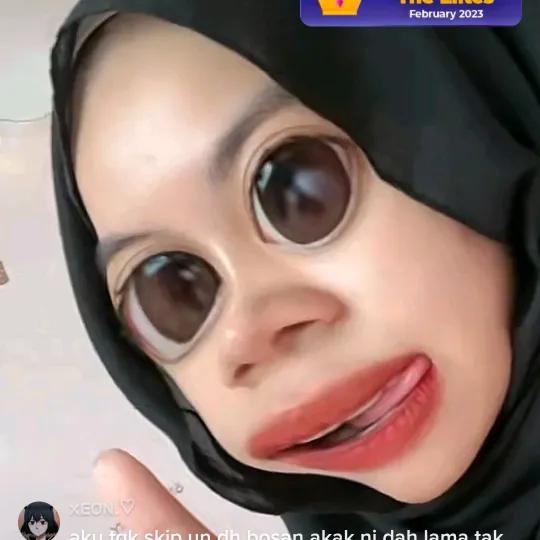 mek_anni