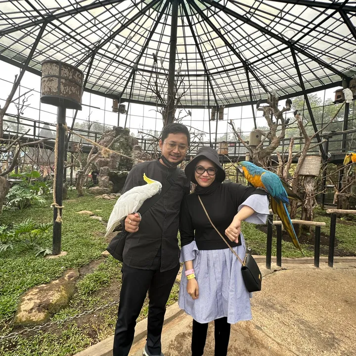 dhewaira