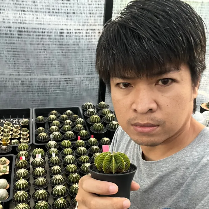 @n.t.b.cactus