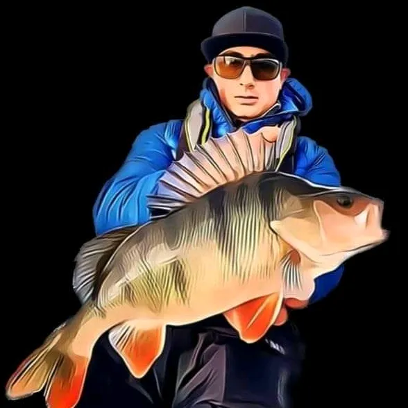 @bf_angler