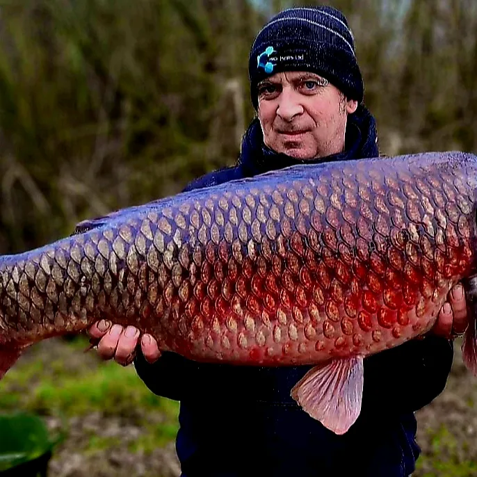 @biobaitsltd