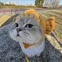 @uwpqratfj