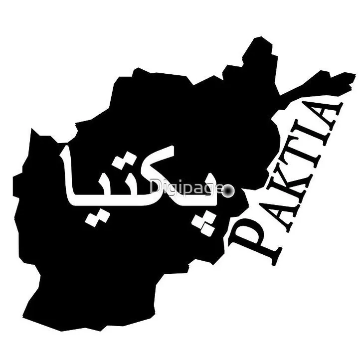@paktiawal.m