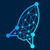 rockettutor