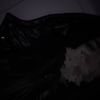 adina_nbg