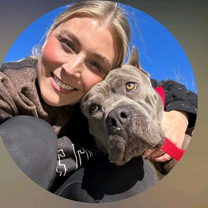 adoptabledogsofmiami1