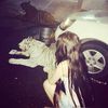 plasticrosesxx04
