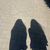 adrenalin_house_s