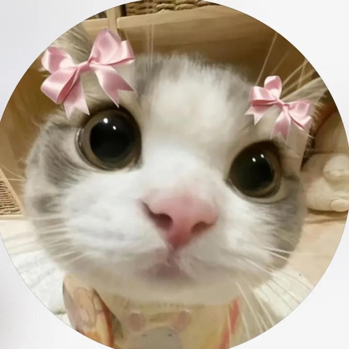 @alice.cattok
