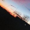 isidora.lazarevic5