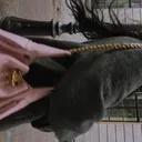 @bisobosa