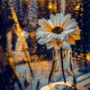 @nooreditx.11