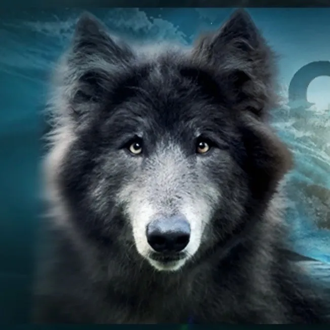 @mybluewolf_