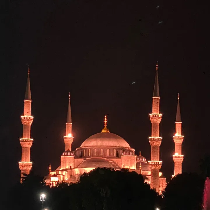 @shagufta0712