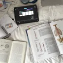 @dailystudyhh