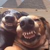 relax_streamer