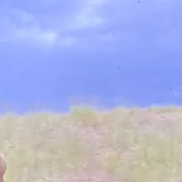 @kebehv