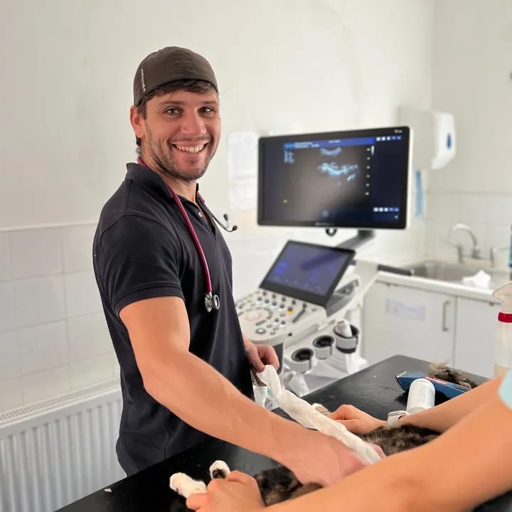 tomasthevet