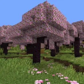 miinecraft_tiktok
