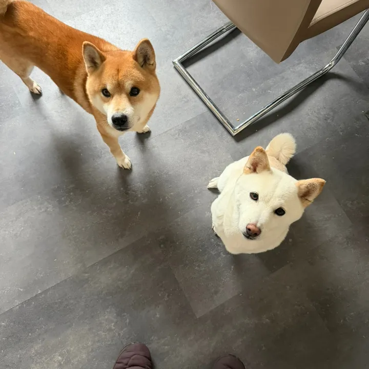@akihiro.yuki6