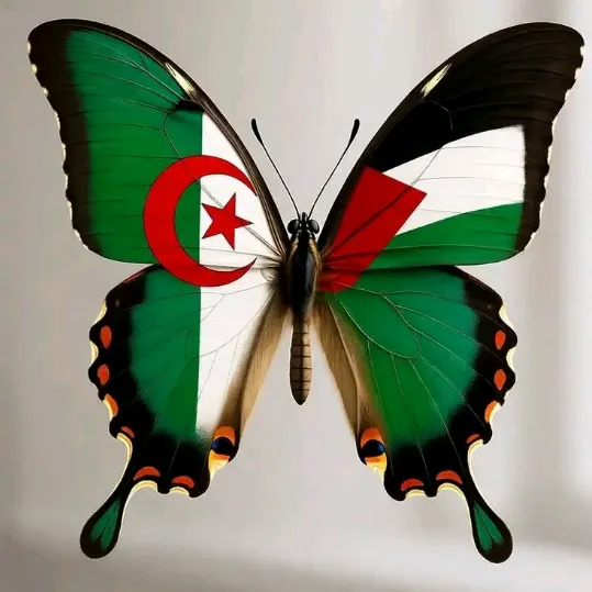 @nihan.._7