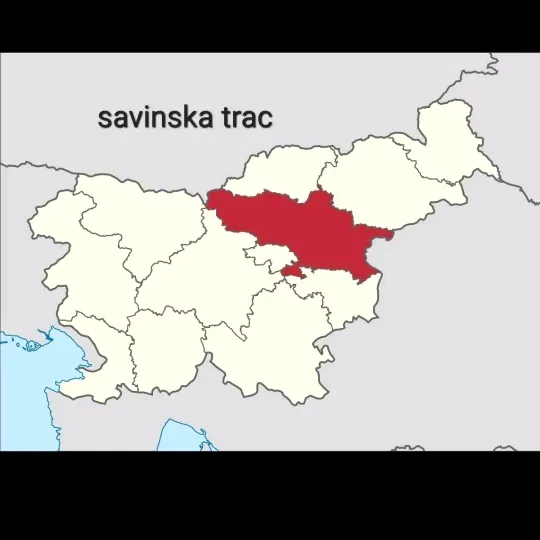 @savinska_trac