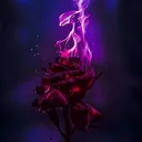 @darknightfk