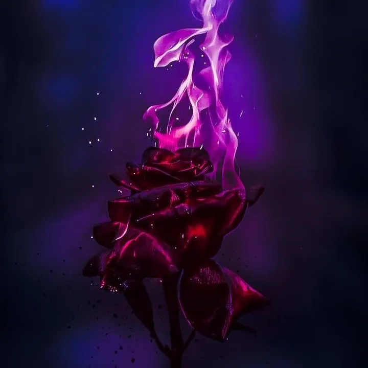 @darknightfk