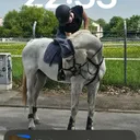 @equestrianrosner_offical