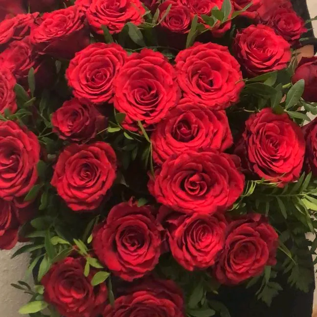 jasmin.sir