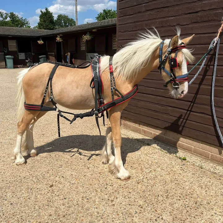 @eastendfarm_london