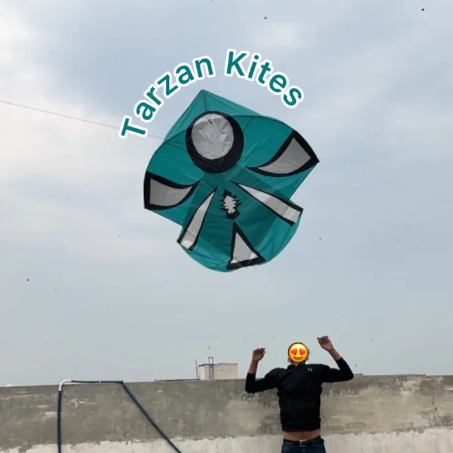 @tarzan.kites7