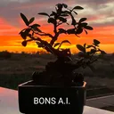@bons.a.i