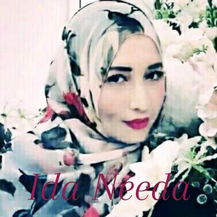 idaneeda66