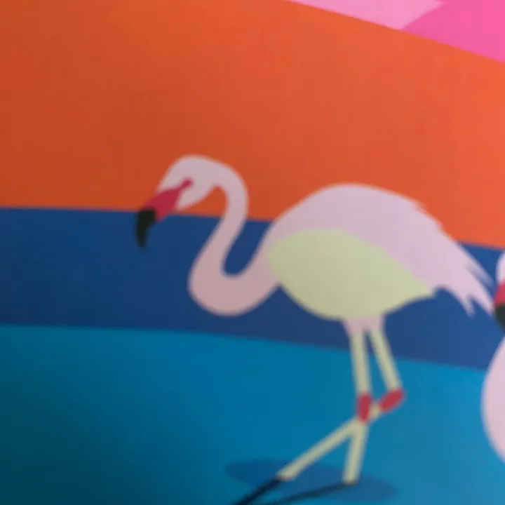 flamingocoffee1