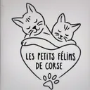 @lespetitsfelinsdecorse